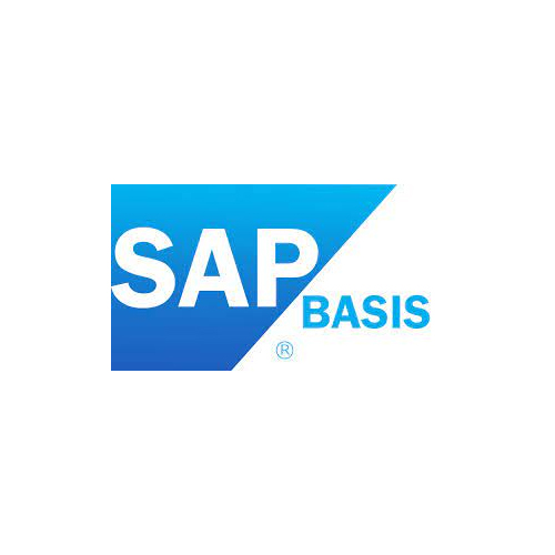 SAP Training Institute in Navi Mumbai