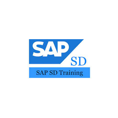 SAP Training Institute in Navi Mumbai