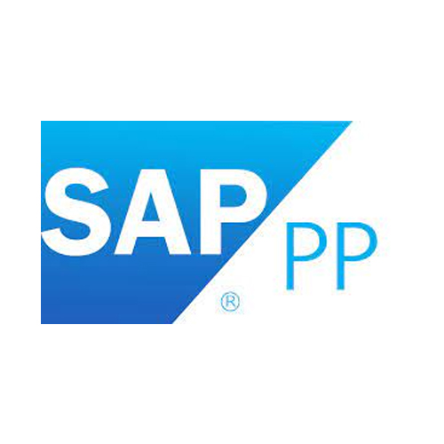 SAP Training Institute in Navi Mumbai