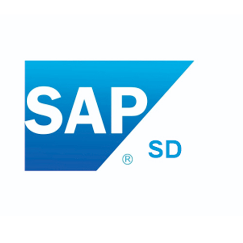 SAP Training Institute in Navi Mumbai